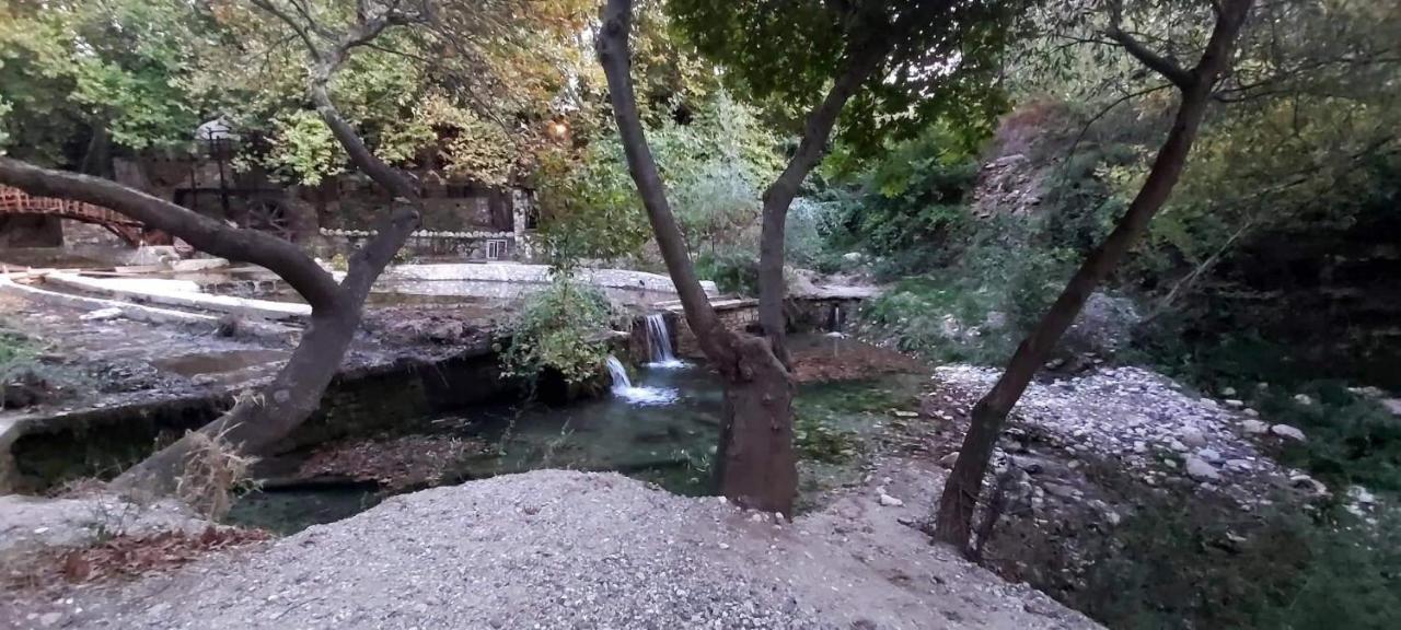 Maria Tsomou Villa Theologos  Bagian luar foto