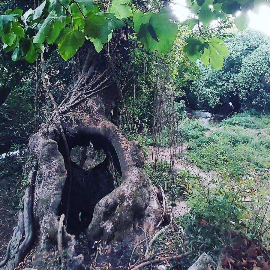 Maria Tsomou Villa Theologos  Bagian luar foto
